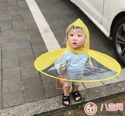 祖國的花朵專用雨衣在哪能買到 祖國的花朵專用雨衣好用嗎 祖國的花朵專用雨衣在哪能買到 祖國的花朵專用雨衣好用嗎