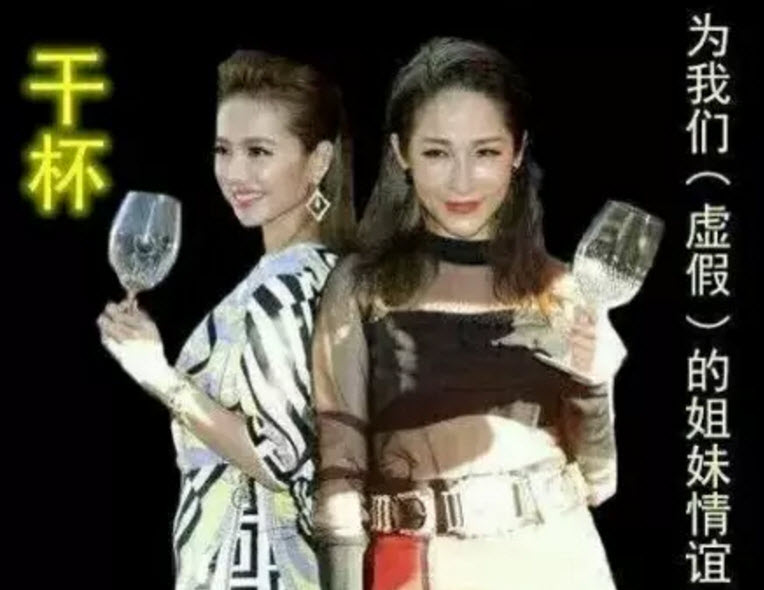 虛假的姐妹情誼表情包 友誼姐妹感情就像塑料花表情包無水印