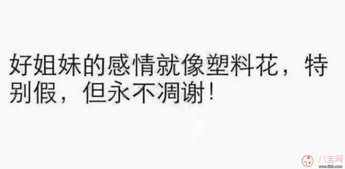 塑料姐妹花永遠不分家?塑料花友誼什么意思 娛樂圈那些塑料花姐妹友誼 塑料姐妹花永遠不分家?塑料花友誼什么意思 娛樂圈那些塑料花姐妹友誼