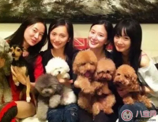 塑料姐妹花永遠不分家?塑料花友誼什么意思 娛樂圈那些塑料花姐妹友誼 塑料姐妹花永遠不分家?塑料花友誼什么意思 娛樂圈那些塑料花姐妹友誼