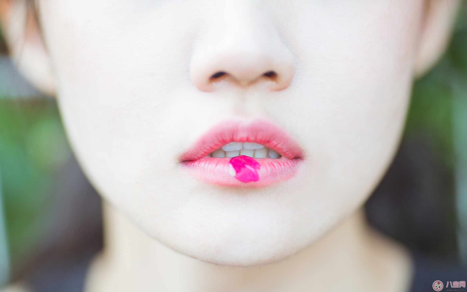 邵衍余念小說死也不會(huì)愛你全文txt免費(fèi)閱讀  邵衍余念小說死也不會(huì)愛你免費(fèi)下載地址