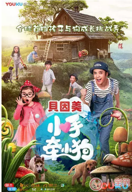 《小手牽小狗》羅志祥帶了幾位萌娃？阿拉蕾的表現(xiàn)怎么樣