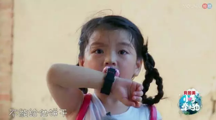 《小手牽小狗》羅志祥帶了幾位萌娃？阿拉蕾的表現(xiàn)怎么樣