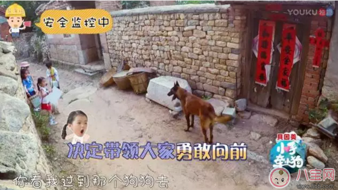 《小手牽小狗》羅志祥帶了幾位萌娃？阿拉蕾的表現(xiàn)怎么樣