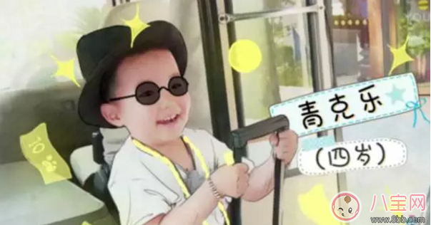 《小手牽小狗》羅志祥帶了幾位萌娃？阿拉蕾的表現(xiàn)怎么樣