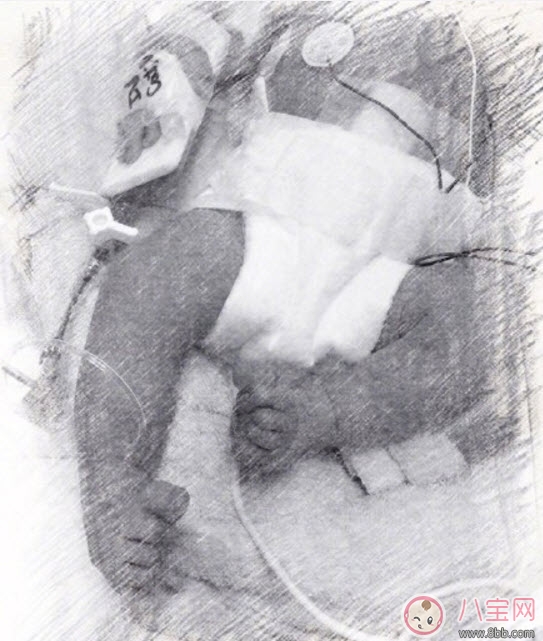 侯佩岑二胎得子侯佩岑二胎寶寶叫什么名字