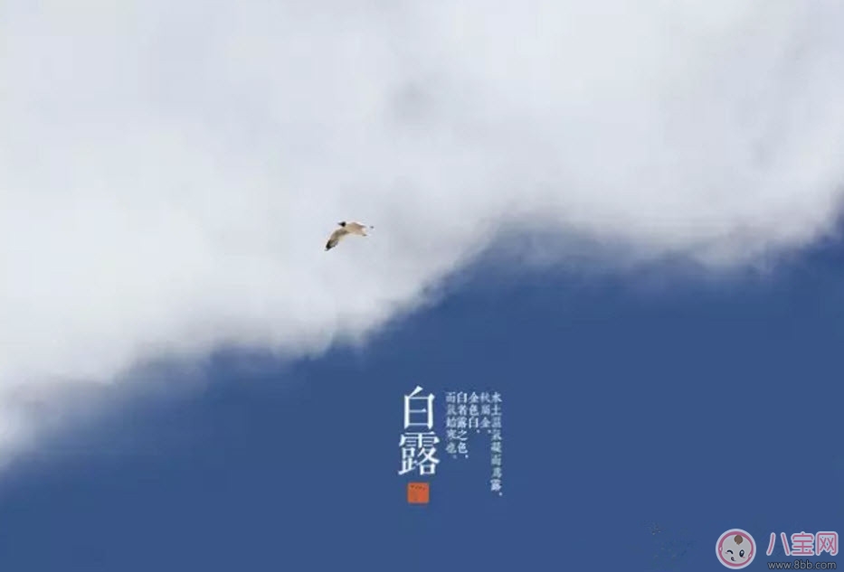 白露節(jié)氣怎么養(yǎng)生 白露時(shí)節(jié)有哪些飲食的禁忌 白露節(jié)氣怎么養(yǎng)生 白露時(shí)節(jié)有哪些飲食的禁忌