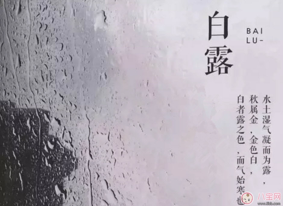 白露節(jié)氣怎么養(yǎng)生 白露時(shí)節(jié)有哪些飲食的禁忌 白露節(jié)氣怎么養(yǎng)生 白露時(shí)節(jié)有哪些飲食的禁忌