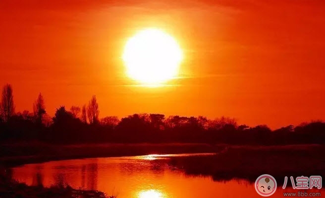 孩子手腳冰涼是怎么回事 手腳冰涼吃什么食物好 孩子手腳冰涼是怎么回事 手腳冰涼吃什么食物好