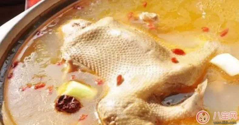 為什么秋季養(yǎng)生要吃鴨 秋天養(yǎng)生吃鴨有什么好處 為什么秋季養(yǎng)生要吃鴨 秋天養(yǎng)生吃鴨有什么好處