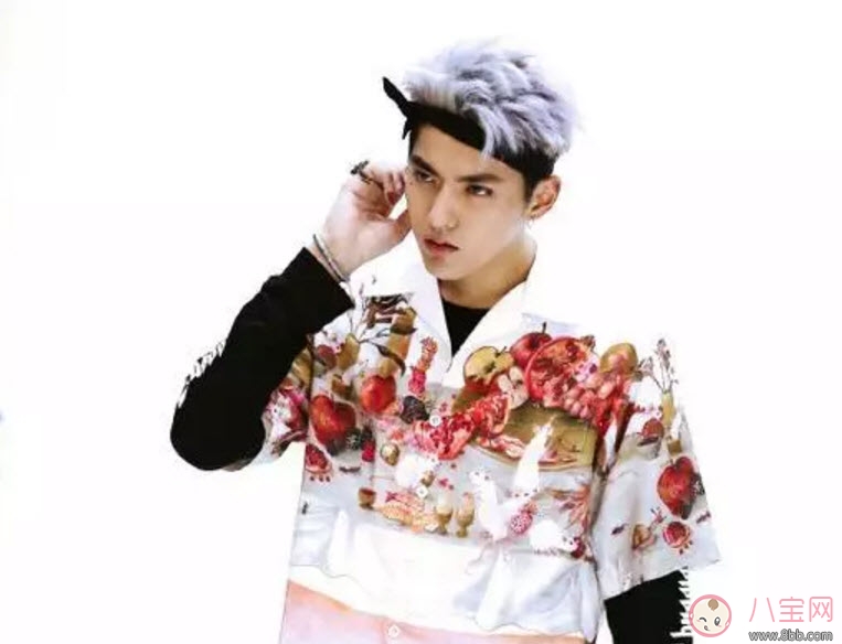 吳亦凡菠蘿頭發(fā)型圖片 2017吳亦凡發(fā)型圖片盤點(diǎn)