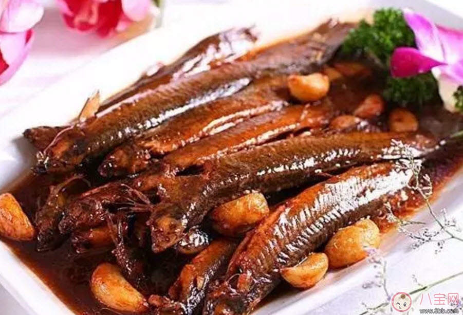 孕婦泥鰍能吃嗎 孕婦吃泥鰍搭配禁忌有哪些 孕婦泥鰍能吃嗎 孕婦吃泥鰍搭配禁忌有哪些