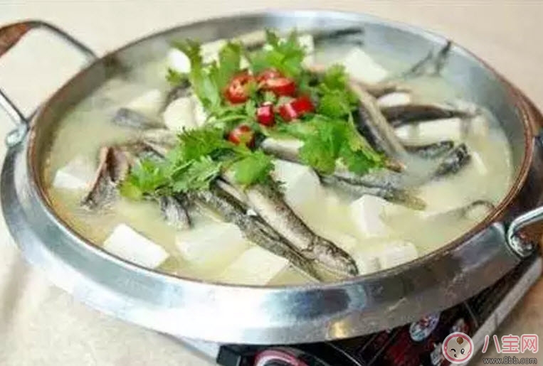 孕婦泥鰍能吃嗎 孕婦吃泥鰍搭配禁忌有哪些 孕婦泥鰍能吃嗎 孕婦吃泥鰍搭配禁忌有哪些