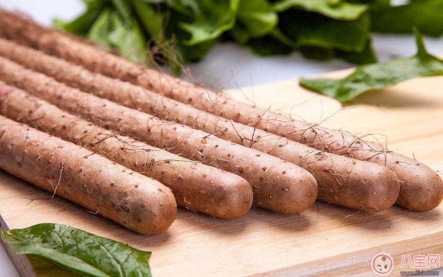 孕婦能吃山藥嗎 孕婦吃山藥有哪些好處(孕婦山藥食譜) 孕婦能吃山藥嗎 孕婦吃山藥有哪些好處(孕婦山藥食譜)