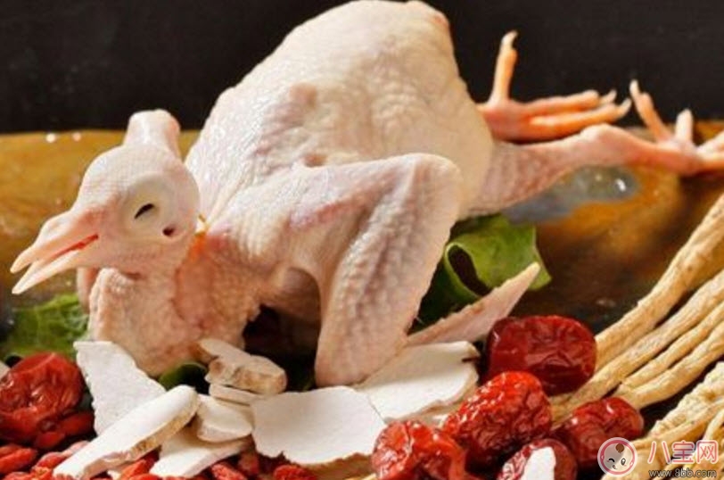 孕婦可以吃鴿子肉嗎 孕婦喝鴿子湯的營養(yǎng)好處