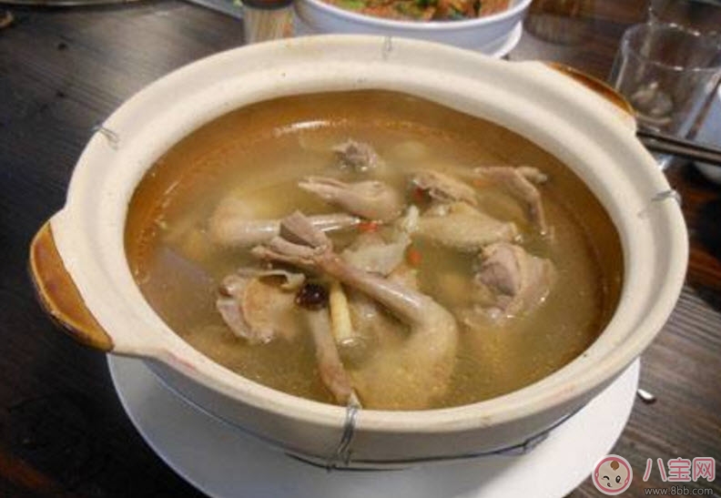孕婦可以吃鴿子肉嗎 孕婦喝鴿子湯的營養(yǎng)好處