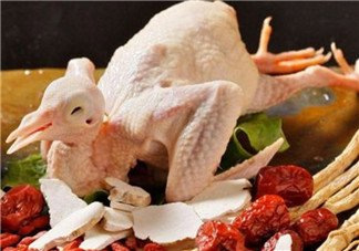 孕婦可以吃鴿子肉嗎 孕婦喝鴿子湯的營(yíng)養(yǎng)好處