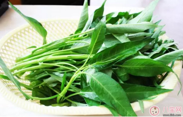 孕婦吃空心菜可以減肥嗎 孕婦吃空心菜會(huì)農(nóng)藥中毒嗎 孕婦吃空心菜可以減肥嗎 孕婦吃空心菜會(huì)農(nóng)藥中毒嗎