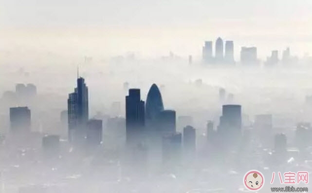 寶寶養(yǎng)肺吃什么 適合寶寶吃的秋天養(yǎng)肺水果有哪些