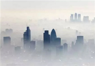 寶寶養(yǎng)肺吃什么 適合寶寶吃的秋天養(yǎng)肺水果有哪些