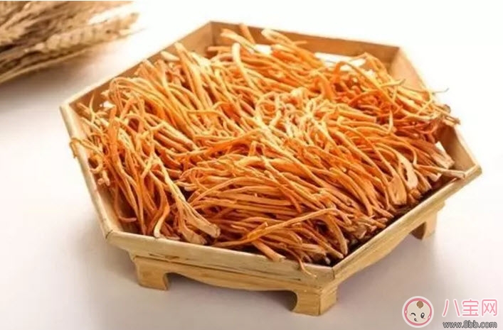 孕婦可以喝蟲草花煲湯嗎 懷孕可蟲草花燉雞孕婦能吃嗎 孕婦可以喝蟲草花煲湯嗎 懷孕可蟲草花燉雞孕婦能吃嗎