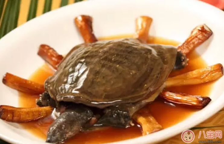 孕婦能喝清燉甲魚湯嗎 孕婦喝了甲魚湯怎么辦