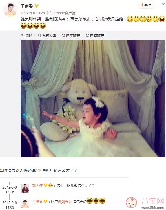 小包總楊爍兒子小毛驢照片 楊爍兒子小毛驢多大了