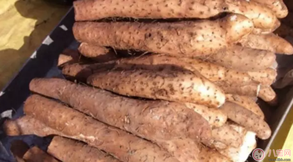 秋天大魚大肉不如吃點素 價格便宜功效更是趕超肉!