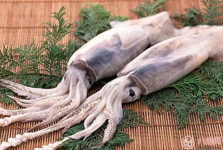孕婦魷魚可以吃嗎 孕婦吃魷魚有哪些好處 孕婦魷魚可以吃嗎 孕婦吃魷魚有哪些好處