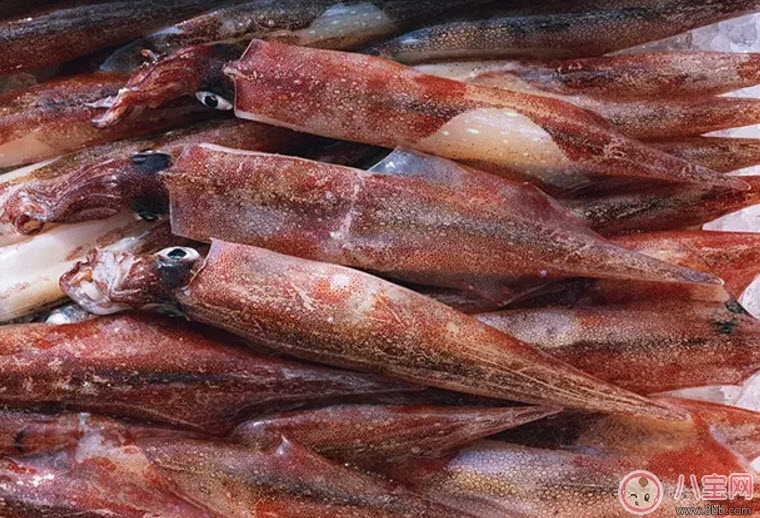 孕婦魷魚可以吃嗎 孕婦吃魷魚有哪些好處 孕婦魷魚可以吃嗎 孕婦吃魷魚有哪些好處