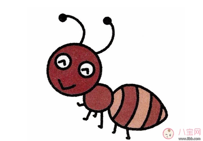 螞蟻腰身材標準 blackpink rose螞蟻腰腰圍是多少 螞蟻腰身材標準 blackpink rose螞蟻腰腰圍是多少