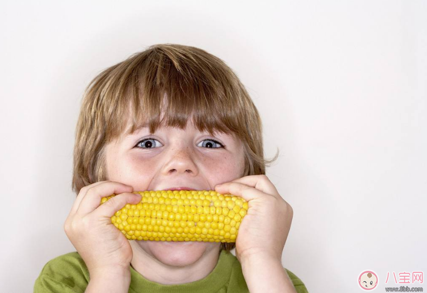 吃玉米竟然有這么多的好處 快給寶寶準(zhǔn)備上玉米大餐 吃玉米竟然有這么多的好處 快給寶寶準(zhǔn)備上玉米大餐