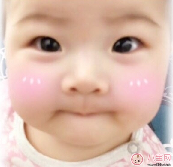 賀軍翔女兒照片 賀軍翔女兒美寶多大了