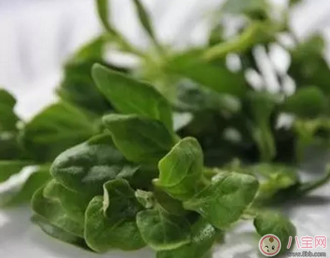 孕初期可以吃涼菜嗎 孕婦可以吃外面賣的涼拌菜嗎 孕初期可以吃涼菜嗎 孕婦可以吃外面賣的涼拌菜嗎