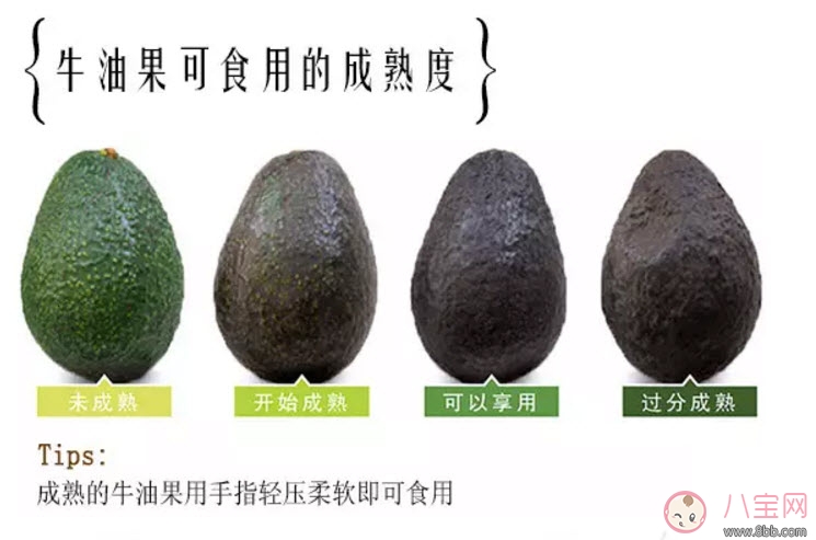 牛油果孕婦怎么吃最好 適合孕婦的牛油果食譜有哪些 牛油果孕婦怎么吃最好 適合孕婦的牛油果食譜有哪些