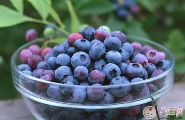 孕婦一天吃多少顆藍莓 孕婦吃藍莓怎么洗才干凈 孕婦一天吃多少顆藍莓 孕婦吃藍莓怎么洗才干凈