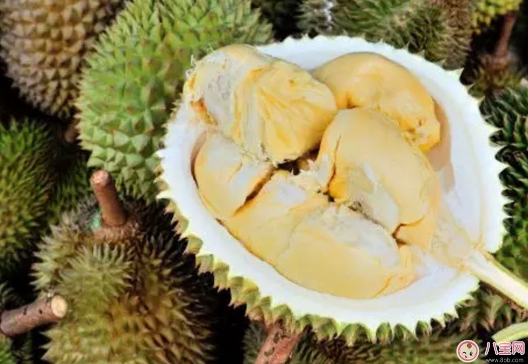 孕婦偶爾吃榴蓮可以嗎 孕婦榴蓮吃多了會怎么樣有什么影響 孕婦偶爾吃榴蓮可以嗎 孕婦榴蓮吃多了會怎么樣有什么影響