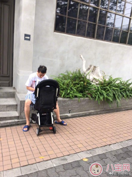 陳冠?，F(xiàn)身日本變曬娃狂魔 給孩子拍照怎么拍好