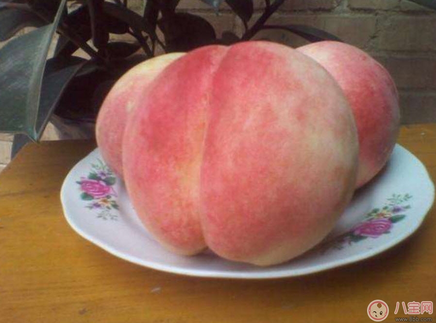 孕婦可以吃毛桃嗎 孕婦吃毛桃有什么功效 孕婦可以吃毛桃嗎 孕婦吃毛桃有什么功效