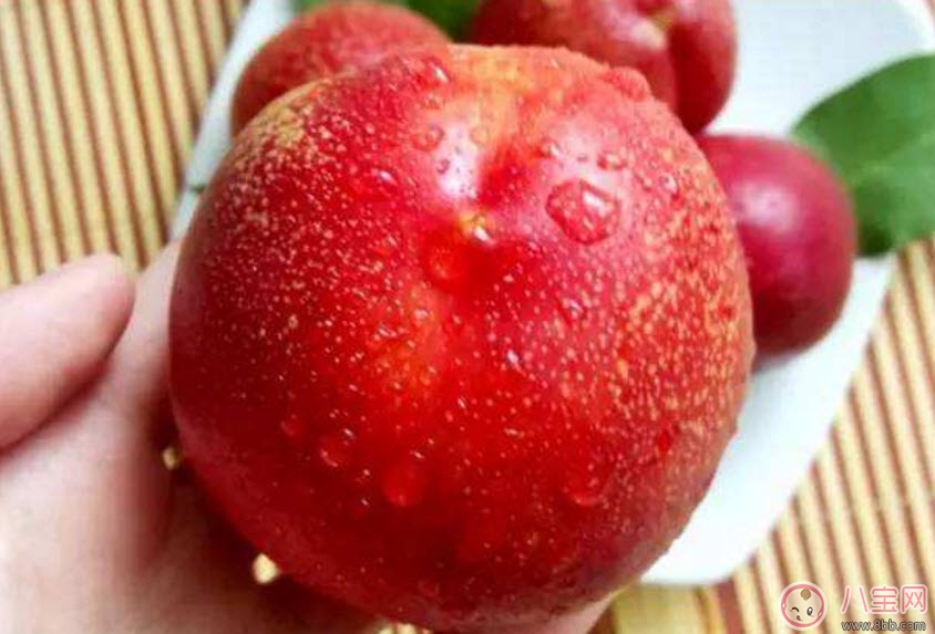 孕婦能吃油桃嗎哺乳期能吃油桃嗎 孕婦吃油桃的注意事項(xiàng)有哪些 孕婦能吃油桃嗎哺乳期能吃油桃嗎 孕婦吃油桃的注意事項(xiàng)有哪些