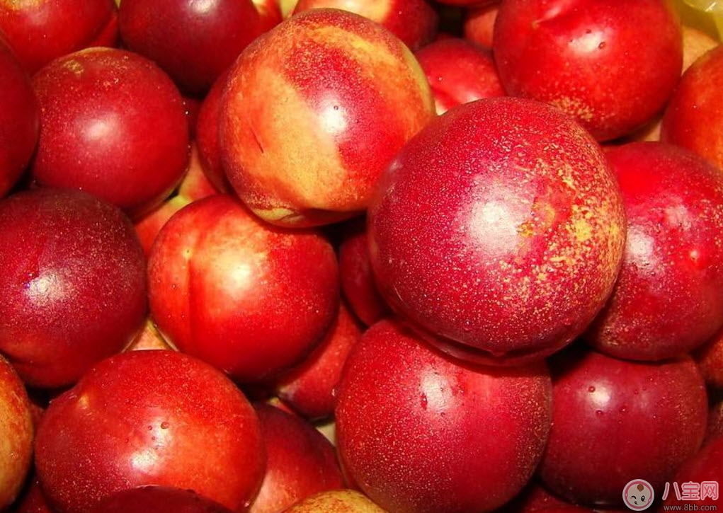 孕婦能吃油桃嗎哺乳期能吃油桃嗎 孕婦吃油桃的注意事項(xiàng)有哪些 孕婦能吃油桃嗎哺乳期能吃油桃嗎 孕婦吃油桃的注意事項(xiàng)有哪些