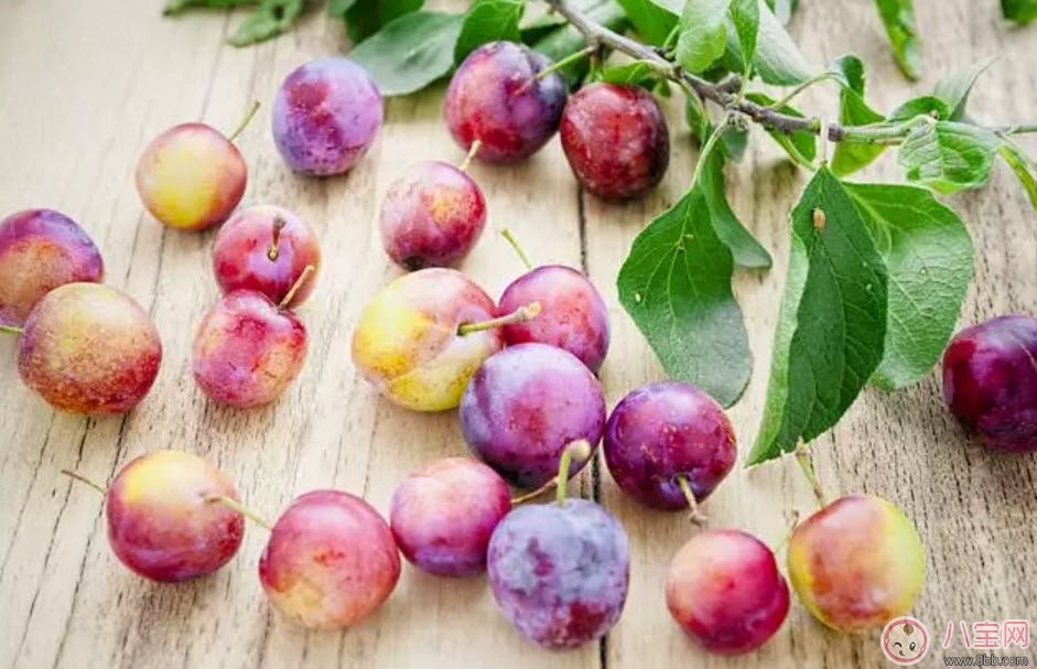 紅心李子孕婦可以吃嗎 孕婦最多能吃多少個紅李子 紅心李子孕婦可以吃嗎 孕婦最多能吃多少個紅李子