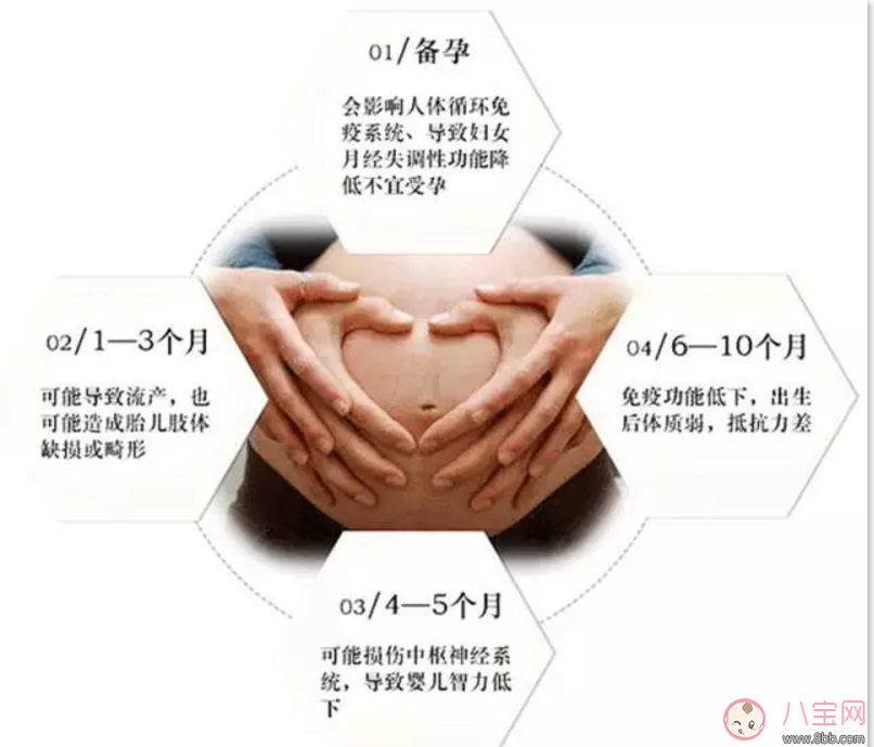 樂朵抗射線防輻射服 地鐵安檢全能防 適合所有孕媽和要備孕的妞們！