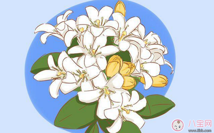 探望寶寶的送什么好 送孩子東西這些要避開