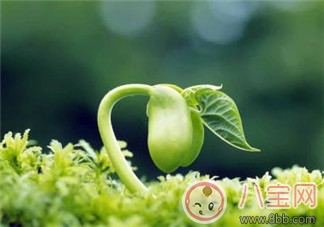 婆婆干涉教育孩子怎么辦 遵循原則解難題 婆婆干涉教育孩子怎么辦 遵循原則解難題