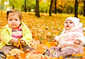 寶寶秋季飲食 輔食原則和制作 寶寶秋季飲食 輔食原則和制作