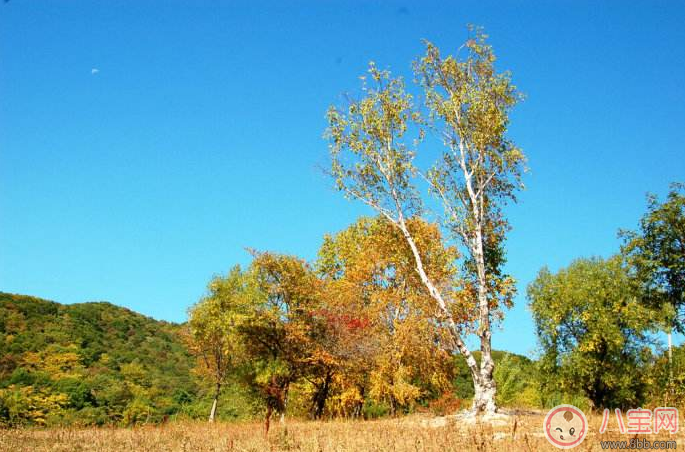 貼秋膘怎么吃好 做什么吃最有食欲 貼秋膘怎么吃好 做什么吃最有食欲