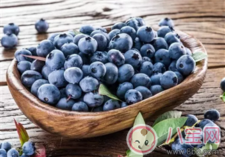 藍(lán)莓輔食營(yíng)養(yǎng)高 如何給寶寶吃