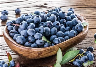 藍(lán)莓輔食營養(yǎng)高 如何給寶寶吃