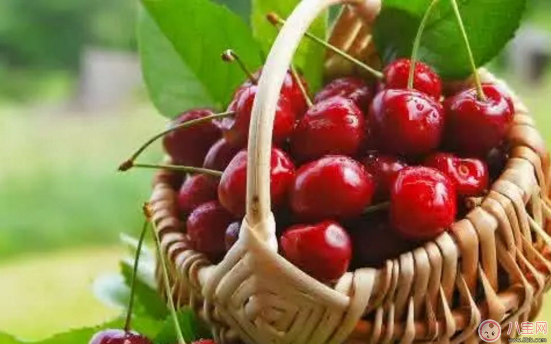 如何選擇寶寶零食 讓寶寶吃的更營(yíng)養(yǎng)健康 如何選擇寶寶零食 讓寶寶吃的更營(yíng)養(yǎng)健康